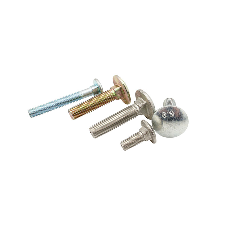 Round Head Square Neck Bolts Carriage Bolts Coach Bolts