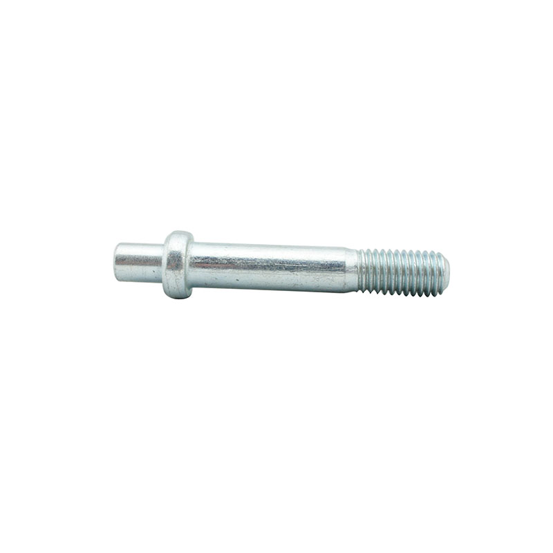 Various Customized Bolts Special Bolts Screws