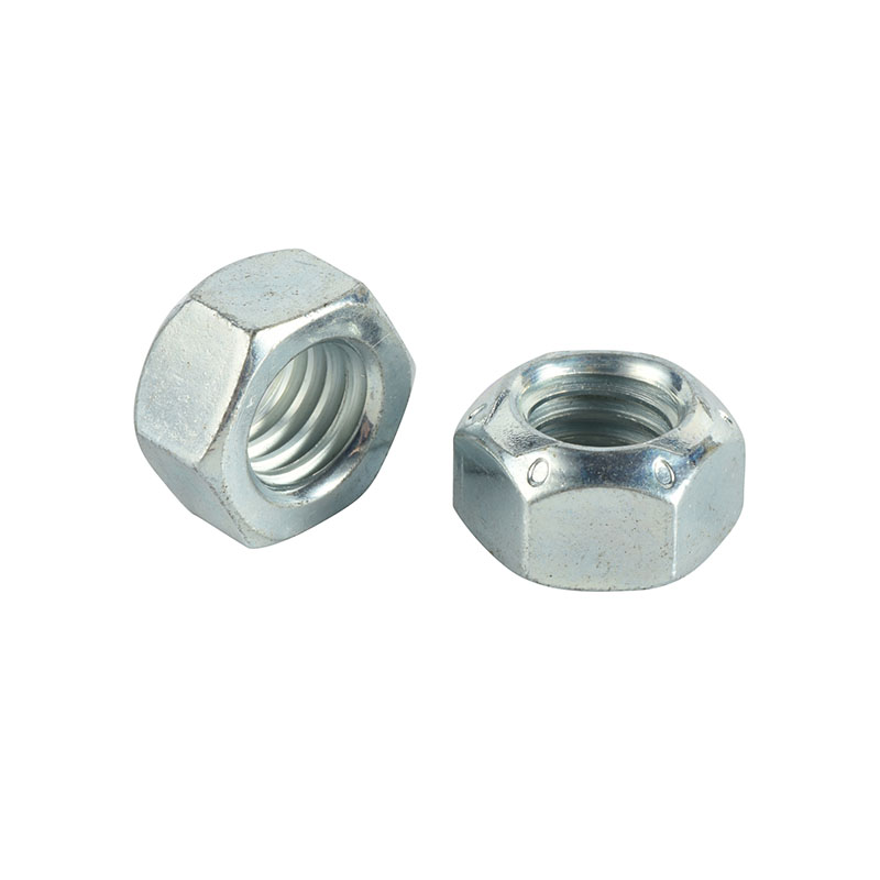 Hex Nuts and Various Nuts from Transhow Fasteners