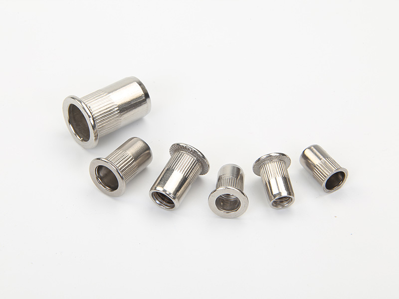 Pin & Rivet